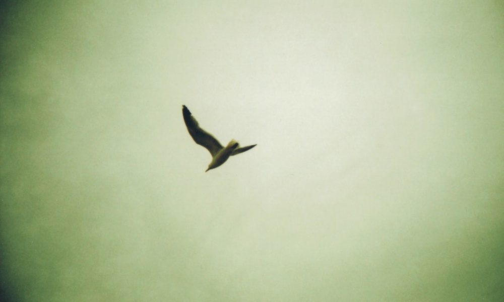 Living in Davidstow, Cornwall