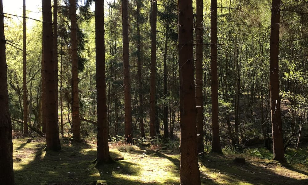 Living in Chilgrove, West Sussex