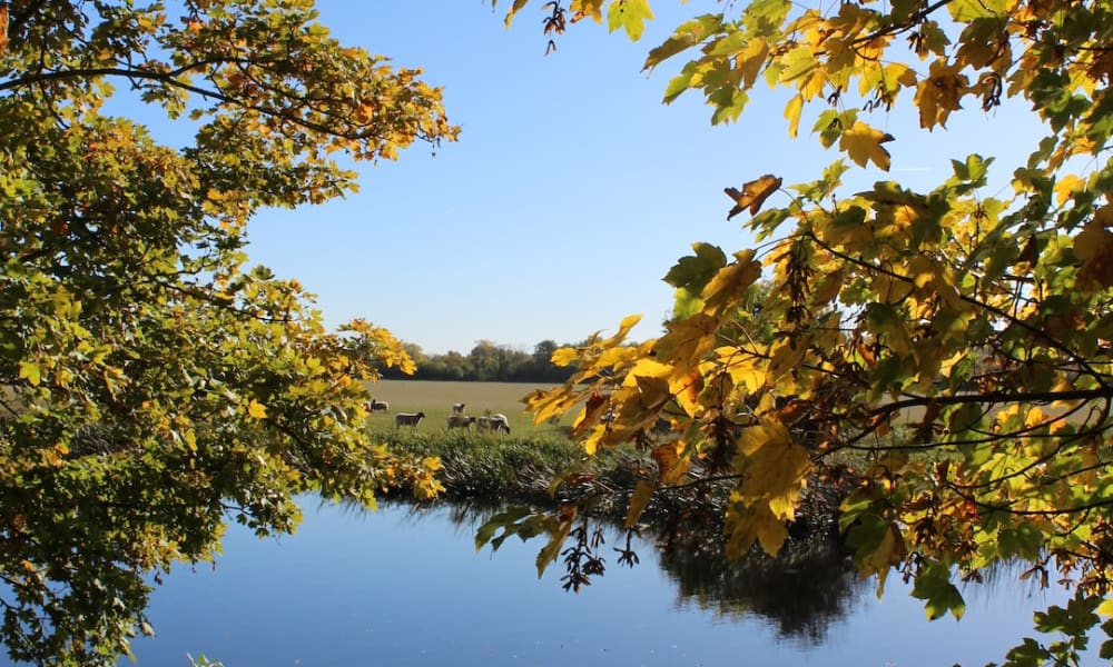 Living in Milton, Cambridgeshire