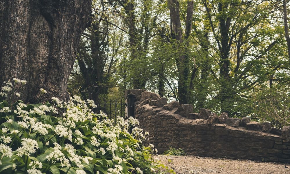 Living in Chiseldon, Wiltshire