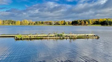 Living in Cambuslang, Lanarkshire