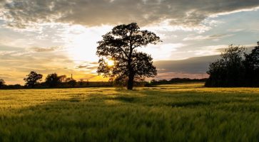 Living in Charlbury, Oxfordshire
