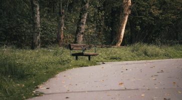 Living in Farnham, Surrey