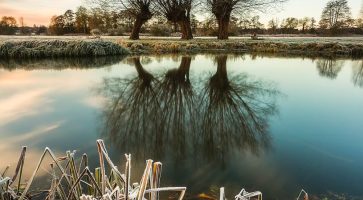 Living in Halesworth, Suffolk