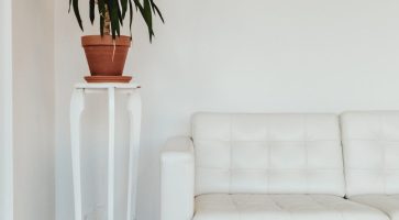 Living in Hove, East Sussex