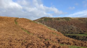 Living in Llangollen, Clwyd