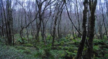 Living in Lochgilphead, Argyll and Bute