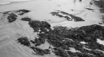 Living in Mawnan, Cornwall