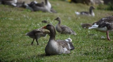 Living in Moreton, Merseyside