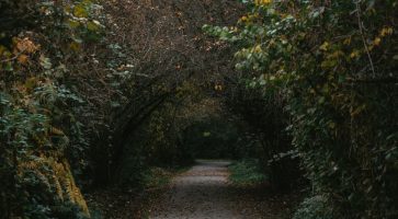 Living in Mytchett, Surrey