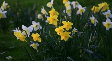 Living in Nuneaton, Warwickshire