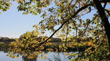 Living in Over, Cambridgeshire
