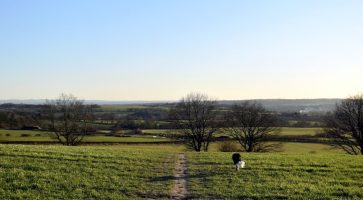 Living in Ripley, Derbyshire