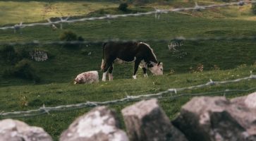 Living in Swadlincote, Derbyshire