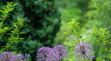 Living in Welwyn Garden City, Hertfordshire