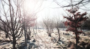Living in Wootton Wawen, Warwickshire
