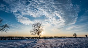 Renting in Barlby, North Yorkshire