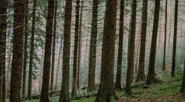 Renting in Caldwell, Derbyshire