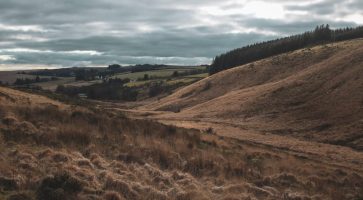 Renting in Cheldon, Devon