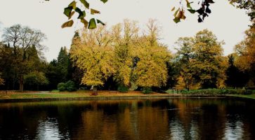 Renting in Didsbury, Greater Manchester