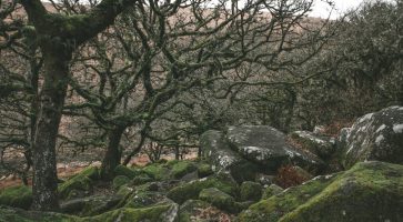 Renting in Hemyock, Devon