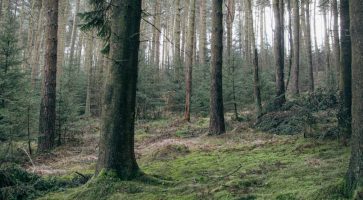 Renting in Matlock, Derbyshire
