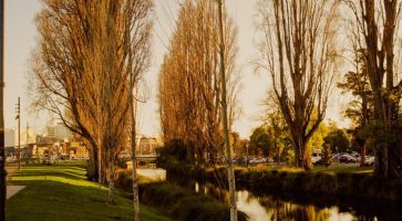 Renting in Timsbury, Avon