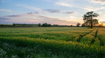 Renting in Wheatley, Oxfordshire